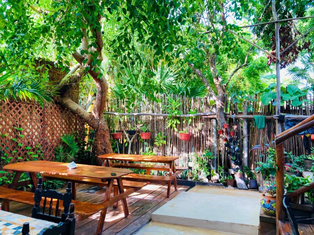 Hostal Holbox 外观 照片