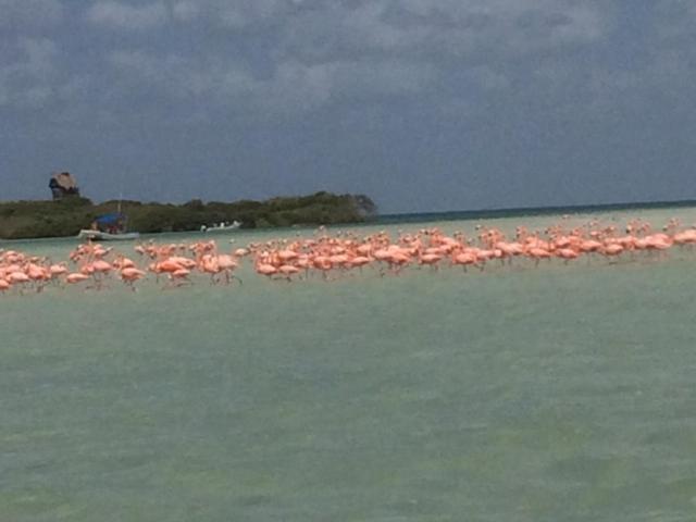 Hostal Holbox 外观 照片