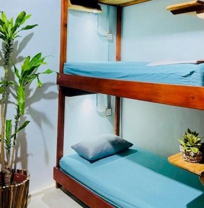 Hostal Holbox 外观 照片